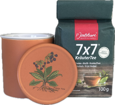 P. Jentschura 7x7 KräuterTee LOSE | 49-Kräuter BASENTEE